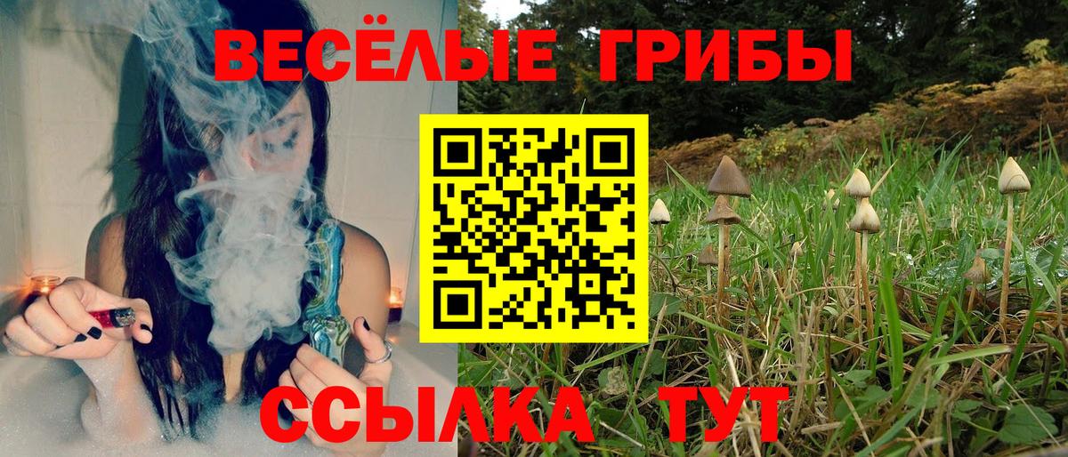 Лысьва  Галлюциногенные грибы Psilocybe  Вход с VPN 